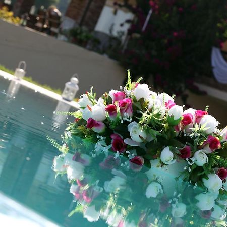 Villa Sourouko Paliouri Bagian luar foto